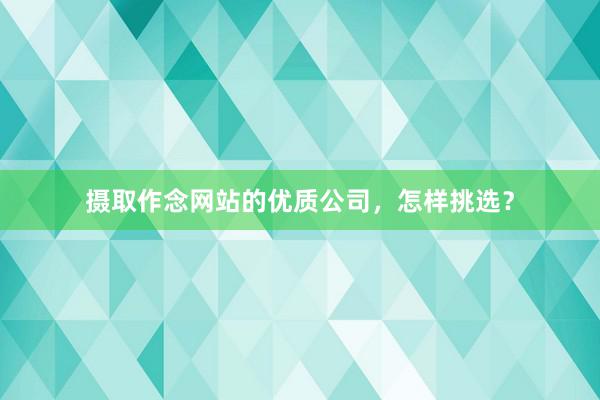 摄取作念网站的优质公司，怎样挑选？